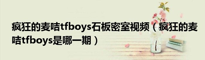 疯狂的麦咭tfboys是哪一期(疯狂的麦咭tfboys石板密室视频)