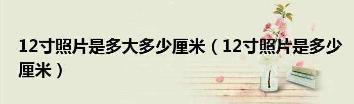 12寸照片是多少厘米(12寸照片是多大多少厘米)