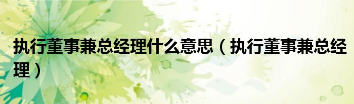 执行董事兼总经理(执行董事兼总经理什么意思)