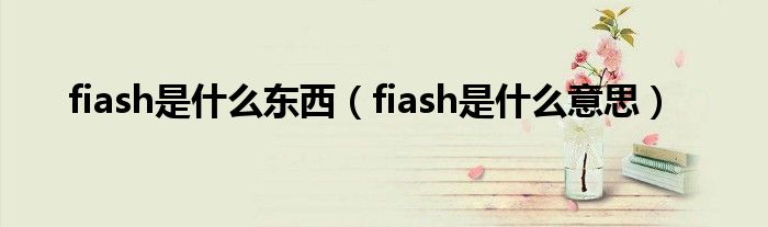 fiash是什么意思(fiash是什么东西)