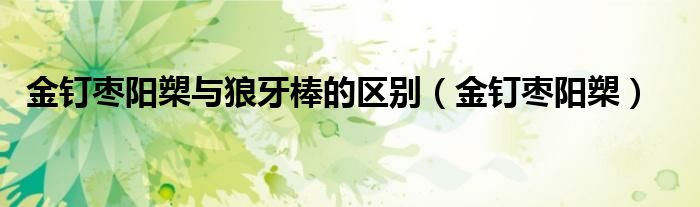 金钉枣阳槊(金钉枣阳槊与狼牙棒的区别)