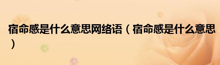 宿命感是什么意思(宿命感是什么意思网络语)