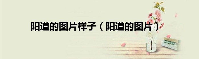阳道的图片(阳道的图片样子)