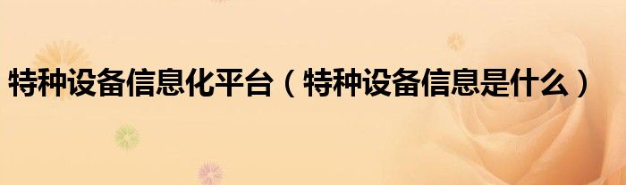 特种设备信息是什么(特种设备信息化平台)