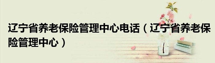 辽宁省养老保险管理中心(辽宁省养老保险管理中心电话)
