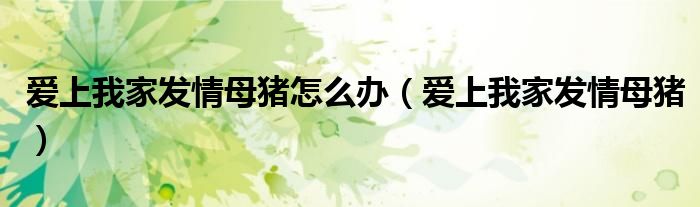 爱上我家发情母猪(爱上我家发情母猪怎么办)