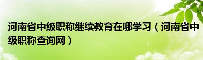 河南省中级职称查询网(河南省中级职称继续教育在哪学习)