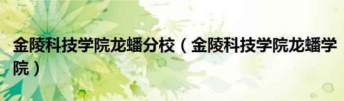 金陵科技学院龙蟠学院(金陵科技学院龙蟠分校)
