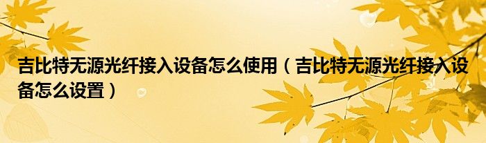 吉比特无源光纤接入设备怎么设置(吉比特无源光纤接入设备怎么使用)