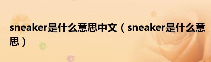 sneaker是什么意思(sneaker是什么意思中文)