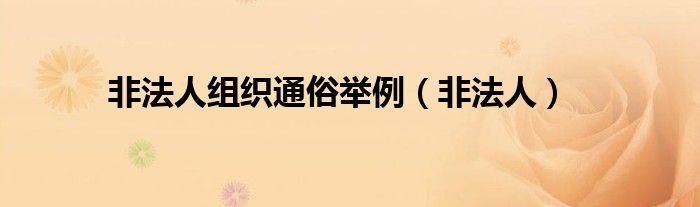 非法人(非法人组织通俗举例)