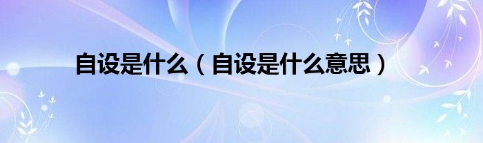 自设是什么意思(自设是什么)