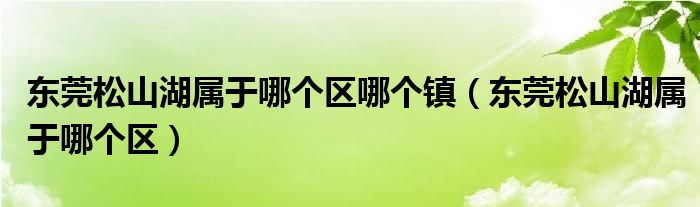 东莞松山湖属于哪个区(东莞松山湖属于哪个区哪个镇)