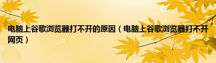 电脑上谷歌浏览器打不开网页(电脑上谷歌浏览器打不开的原因)