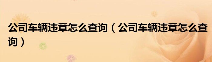 公司车辆违章怎么查询(公司车辆违章怎么查询)