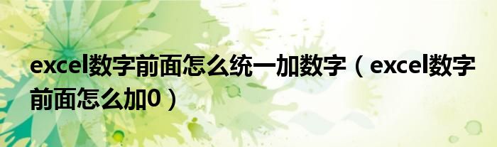 excel数字前面怎么加0(excel数字前面怎么统一加数字)