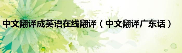 中文翻译广东话(中文翻译成英语在线翻译)