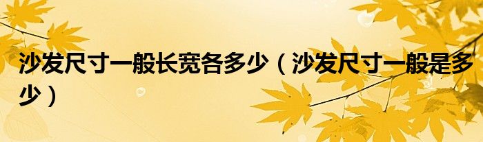 沙发尺寸一般是多少(沙发尺寸一般长宽各多少)