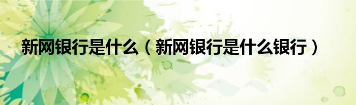 新网银行是什么银行(新网银行是什么)