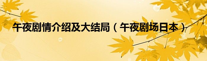 午夜剧场日本(午夜剧情介绍及大结局)