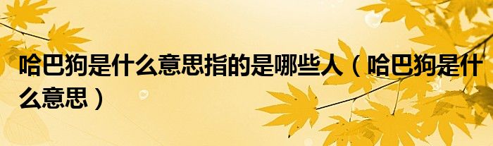 哈巴狗是什么意思(哈巴狗是什么意思指的是哪些人)