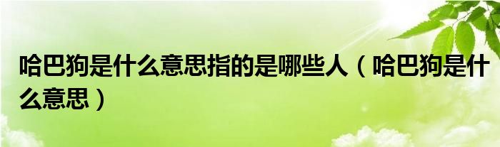哈巴狗是什么意思(哈巴狗是什么意思指的是哪些人)
