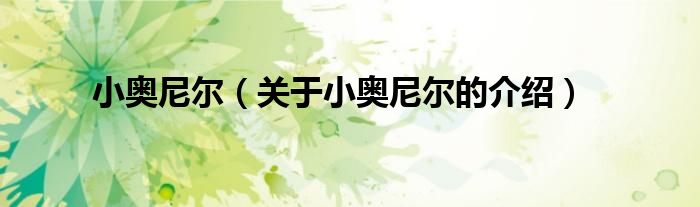 关于小奥尼尔的介绍(小奥尼尔)