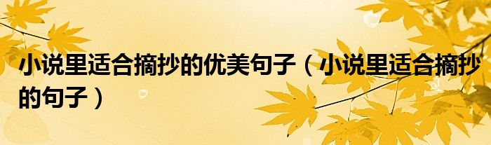 小说里适合摘抄的句子(小说里适合摘抄的优美句子)