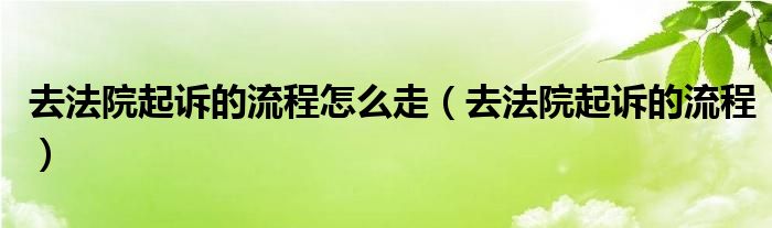 去法院起诉的流程(去法院起诉的流程怎么走)