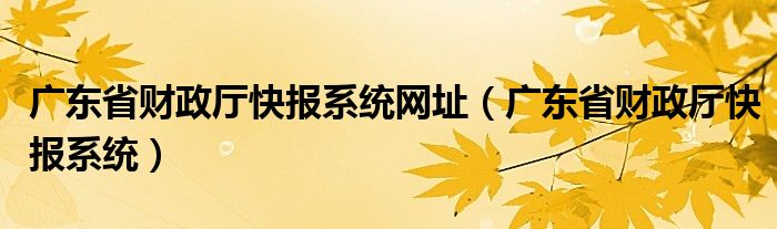 广东省财政厅快报系统(广东省财政厅快报系统网址)