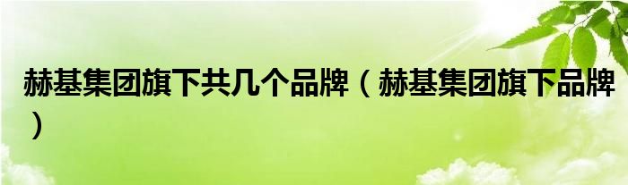 赫基集团旗下品牌(赫基集团旗下共几个品牌)
