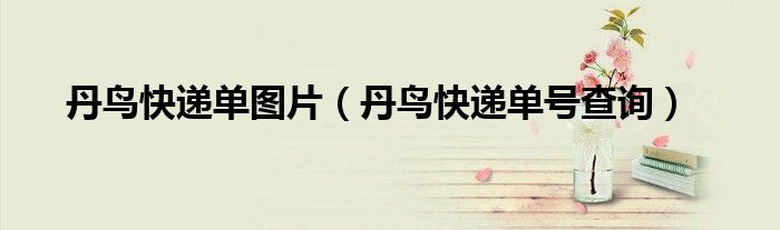 丹鸟快递单号查询(丹鸟快递单图片)