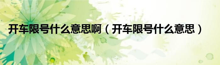 开车限号什么意思(开车限号什么意思啊)