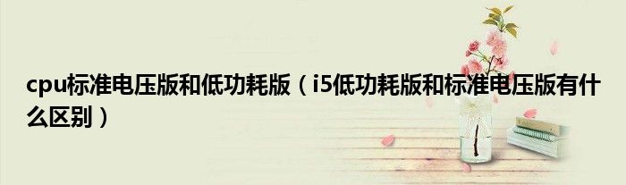 i5低功耗版和标准电压版有什么区别(cpu标准电压版和低功耗版)