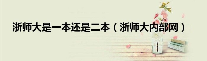 浙师大内部网(浙师大是一本还是二本)