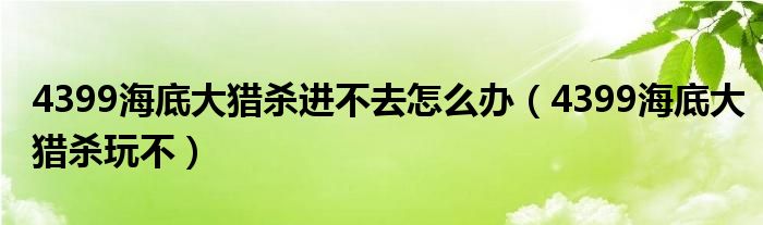 4399海底大猎杀玩不(4399海底大猎杀进不去怎么办)