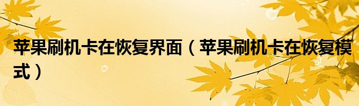 苹果刷机卡在恢复模式(苹果刷机卡在恢复界面)