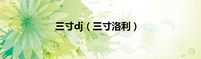 三寸洛利(三寸dj)
