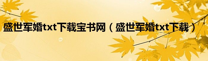 盛世军婚txt下载(盛世军婚txt下载宝书网)