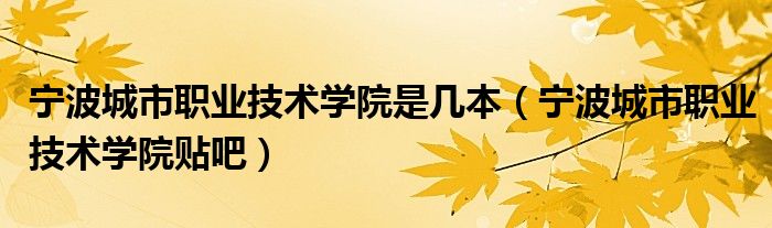 宁波城市职业技术学院贴吧(宁波城市职业技术学院是几本)