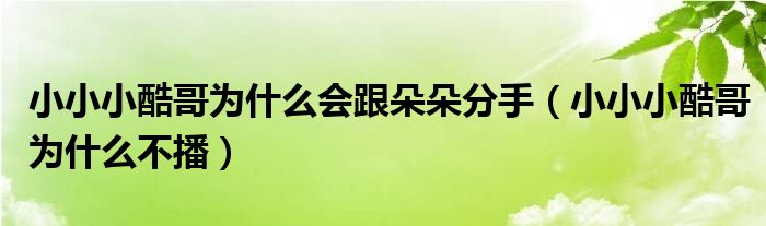 小小小酷哥为什么不播(小小小酷哥为什么会跟朵朵分手)
