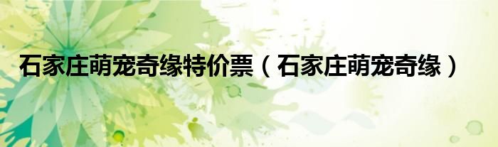 石家庄萌宠奇缘(石家庄萌宠奇缘特价票)