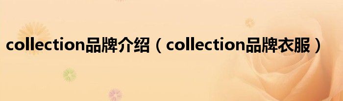 collection品牌衣服(collection品牌介绍)