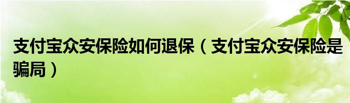 支付宝众安保险是骗局(支付宝众安保险如何退保)