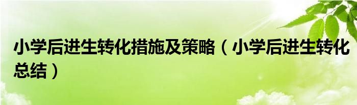小学后进生转化总结(小学后进生转化措施及策略)