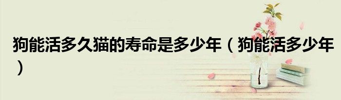 狗能活多少年(狗能活多久猫的寿命是多少年)