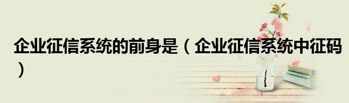 企业征信系统中征码(企业征信系统的前身是)