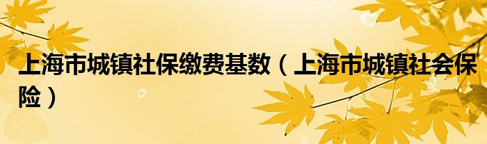 上海市城镇社会保险(上海市城镇社保缴费基数)