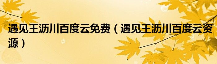 遇见王沥川百度云资源(遇见王沥川百度云免费)