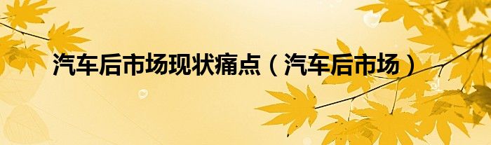 汽车后市场(汽车后市场现状痛点)